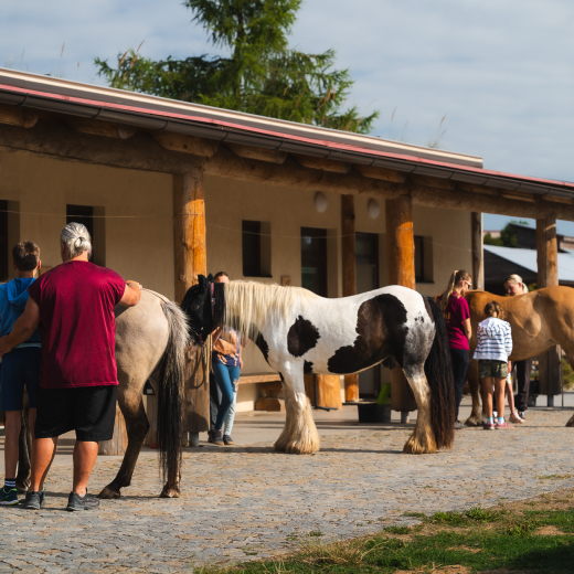 Hiporehabilitace v pedagogické a sociální praxi
